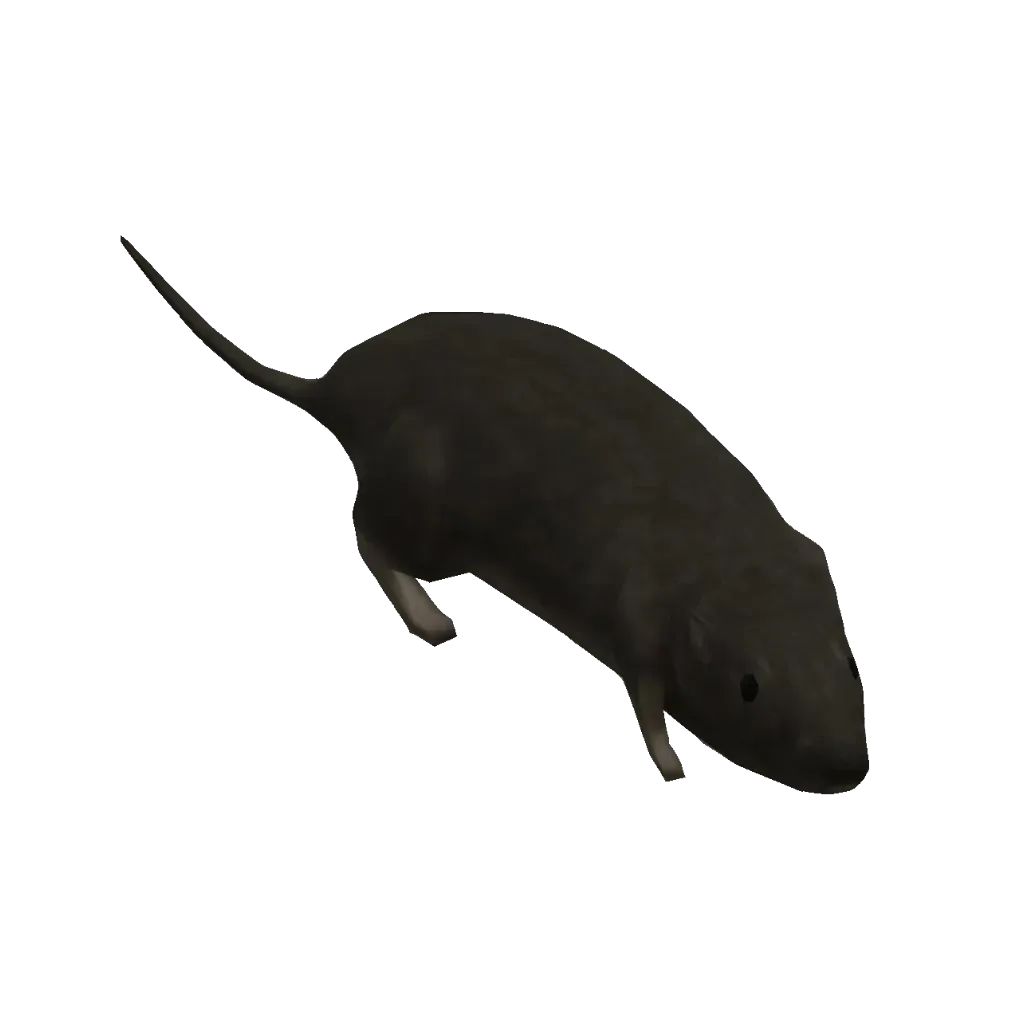 Mik profile picture